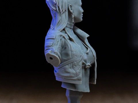 Rogue Amendiares 3D Print Model