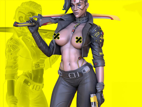 CyberPunk Waifu 3Dプリントモデル