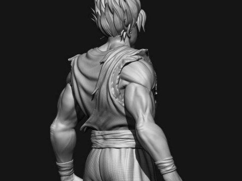 Goku Super Saiyan 3D 프린트 모델