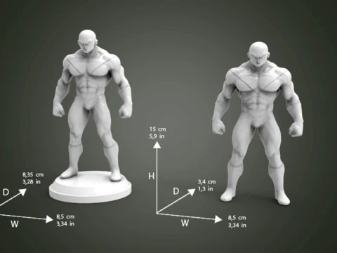 Jiren Figurine 3D Print Model