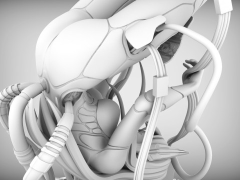 Ghost In The Shell Major 3D Print Model