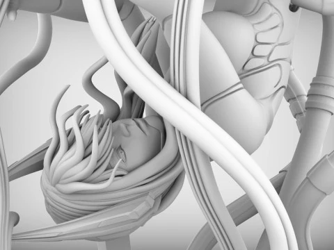 Ghost In The Shell Major 3D Print Model