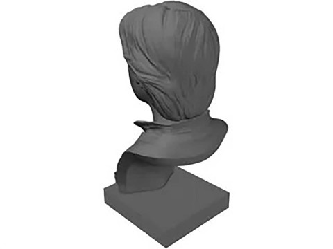 Han Solo Bust 3D Figuries Ready To Print Model do druku 3D