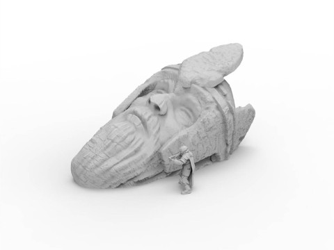 Ancient Runs Heads Ready To Print 3D Print Model