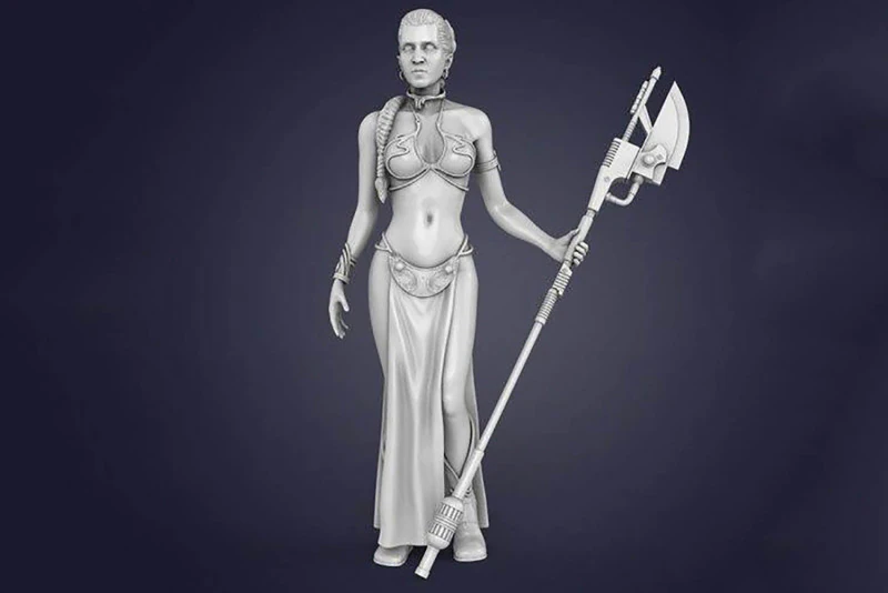 Princess Leia 3D Figuries Ready To Print 3D Print Model .c4d .max .obj .3ds .fbx .stl .blend 