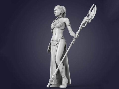 Princess Leia 3D Figuries Ready To Print Modello di stampa 3D