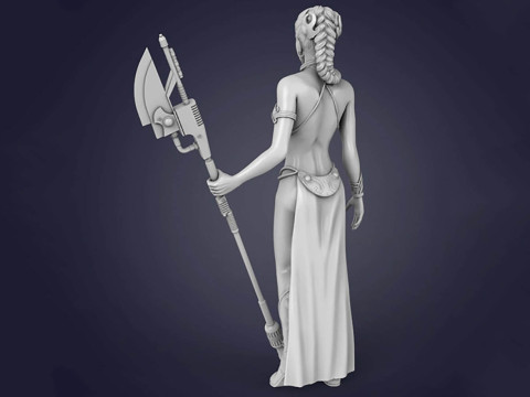 Princess Leia 3D Figuries Ready To Print Modello di stampa 3D