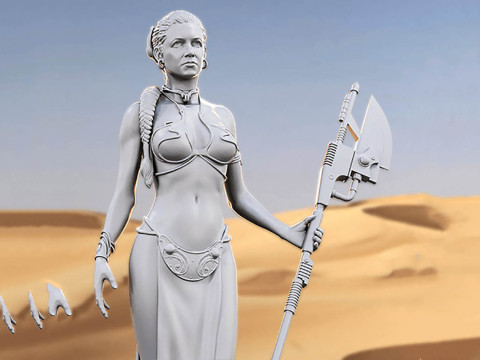 Princess Leia 3D Figuries Ready To Print Modello di stampa 3D