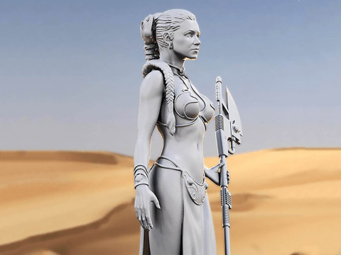 Princess Leia 3D Figuries Ready To Print Modello di stampa 3D