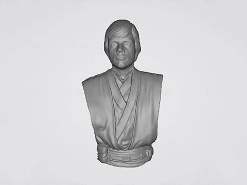 Luke Skywalker 3D Ready To Print 3D प्रिंट मॉडल