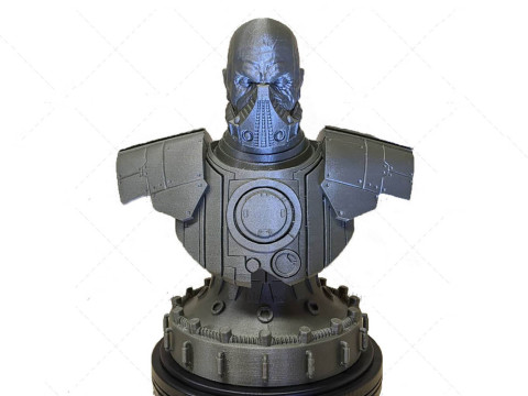 Malgus Bust 3D Figuries Ready To Print 3D 프린트 모델