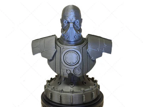 Busto de Malgus Figuras 3D Listas para Imprimir Modelo de impresión 3D