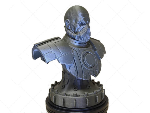 Malgus Bust 3D Figuries Ready To Print 3Dプリントモデル