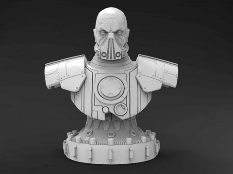 Malgus Bust 3D Figuries Ready To Print 3Dプリントモデル