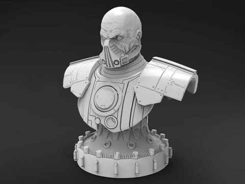 Malgus Bust 3D Figuries Ready To Print 3Dプリントモデル