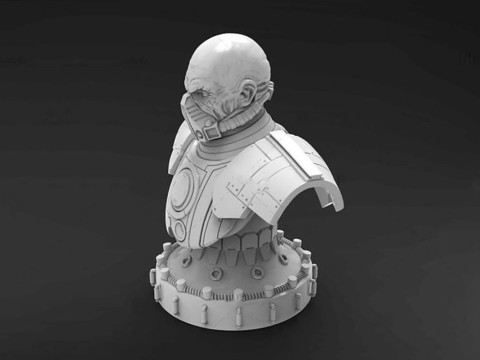 Malgus Bust 3D Figuries Ready To Print 3Dプリントモデル