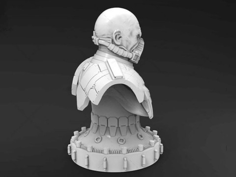 Malgus Bust 3D Figuries Ready To Print 3Dプリントモデル