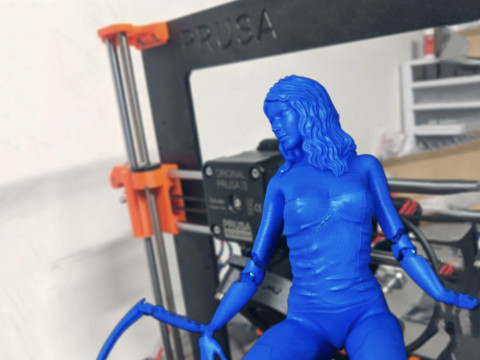 Girl Figure Ready To Print 3D प्रिंट मॉडल