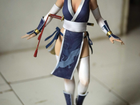 Kasumi Dead Or Alive 3D Figuries Ready To Print 3D-printmodel