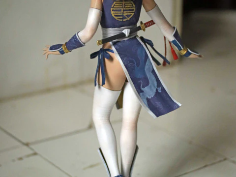 Kasumi Dead Or Alive 3D Print Model