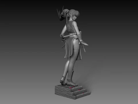 Kasumi Dead Or Alive 3D Print Model