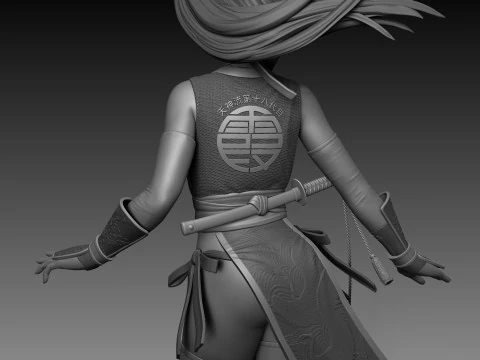 Kasumi Dead Or Alive 3D Print Model