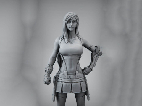 Tifa Ready To Print 3D 프린트 모델