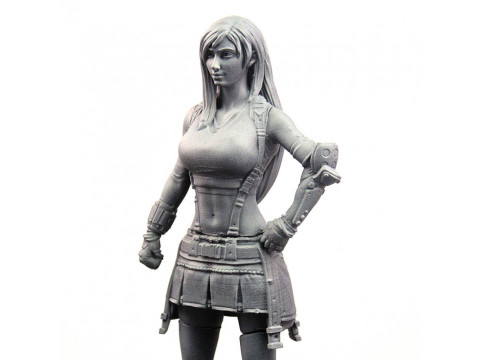 Tifa Ready To Print 3D 프린트 모델