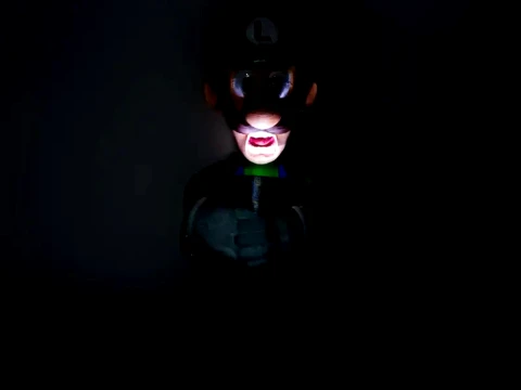 Luigi Mansion Linterna 3D Print Model