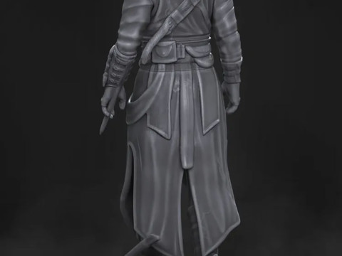 Assassin's Creed 3D Baskı Modeli