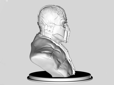 Sub Zero Bust Maikel Santos Ready To Print Model Cetak 3D