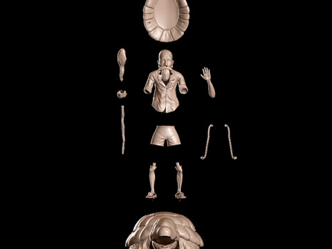 Master Roshi on Turtle 3D 프린트 모델