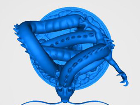 Shenlong Dragon Ball 3D Print Model