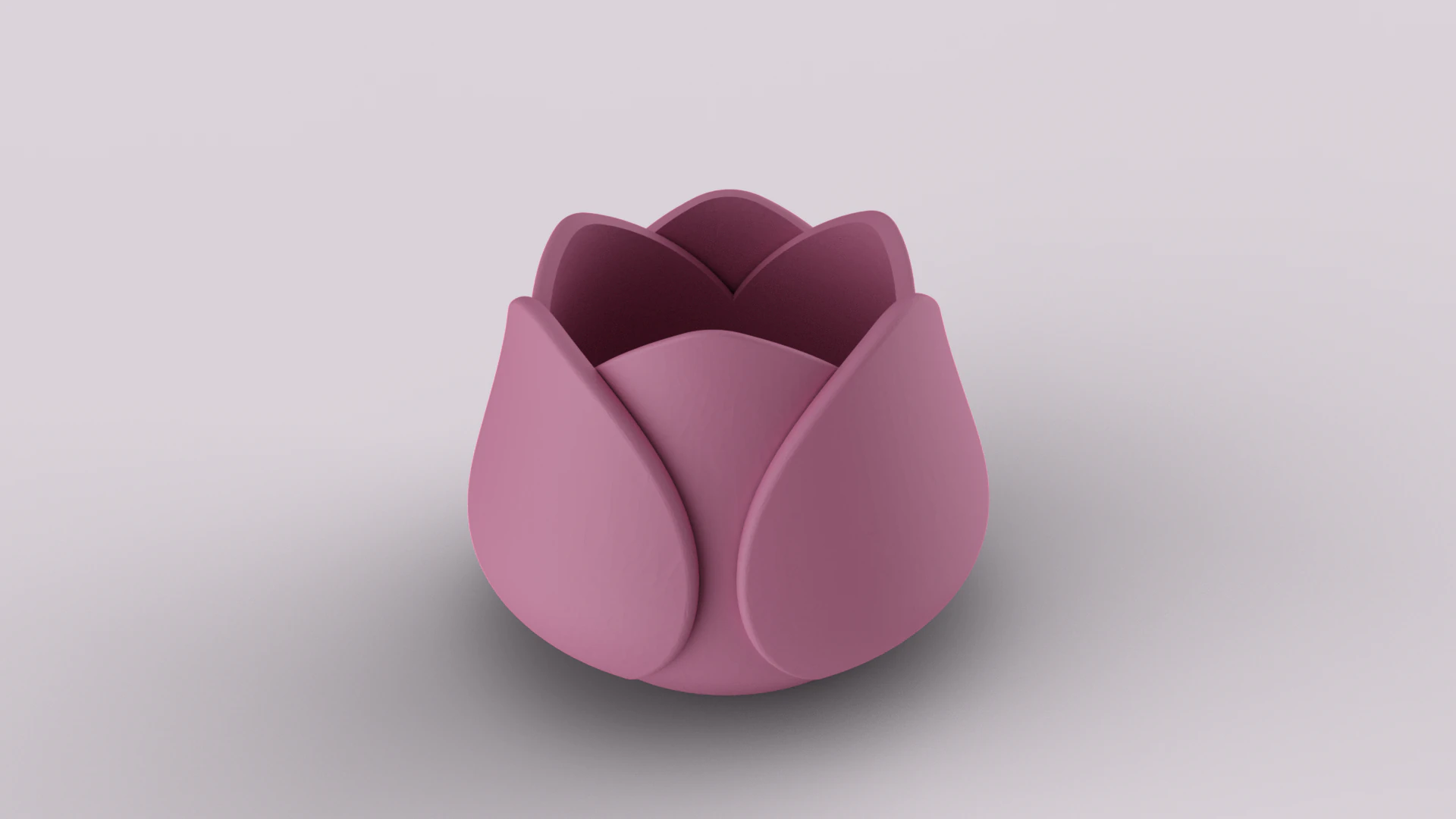 Decorative Tulip Succulent Pot 3D Print Model .c4d .max .obj .3ds .fbx .stl .blend