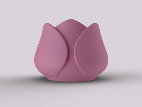Decorative Tulip Succulent Pot 3D Print Model
