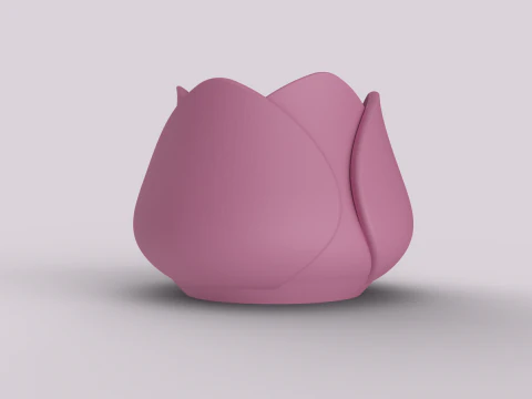 Decorative Tulip Succulent Pot 3D Print Model