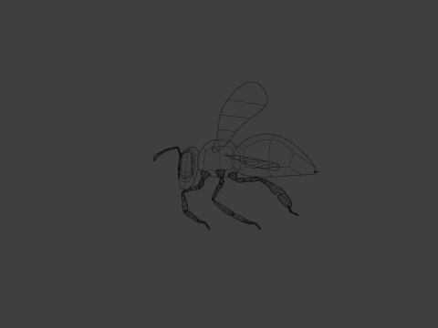 Bee Model for Animation or Sth 3D Model