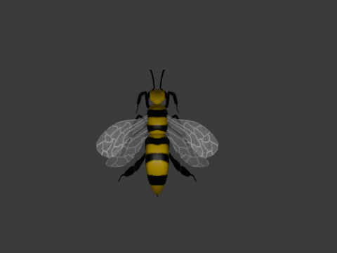 Bee Model for Animation or Sth 3D Model