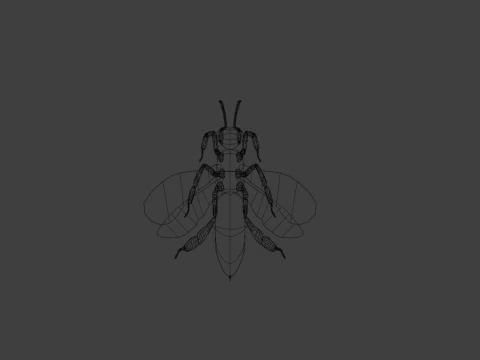 Bee Model for Animation or Sth 3D Model