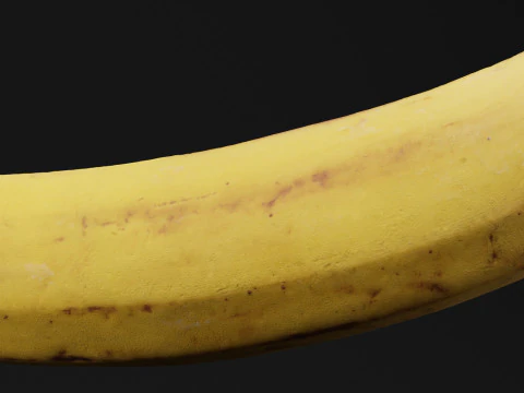 Banana 3D Model