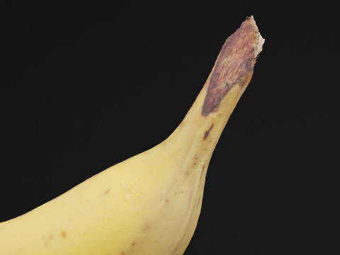 Banana 3D Model