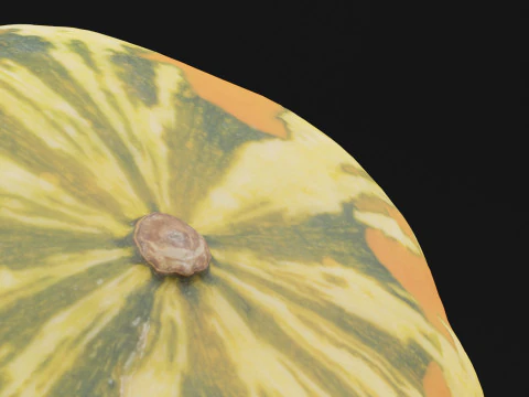 Pumpkin 3D Model