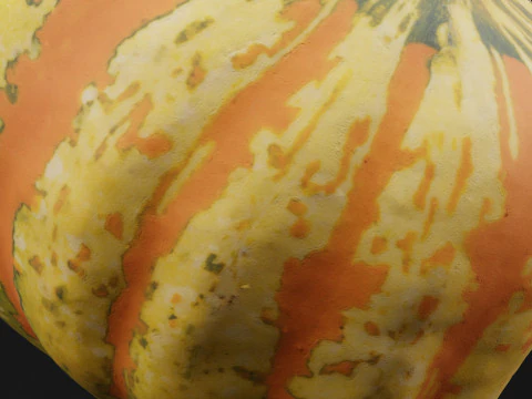 Pumpkin 3D Model