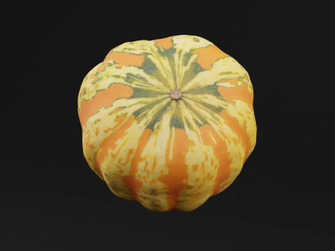 Pumpkin 3D Model
