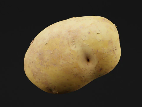 Ziemniak Warzywo Model 3D