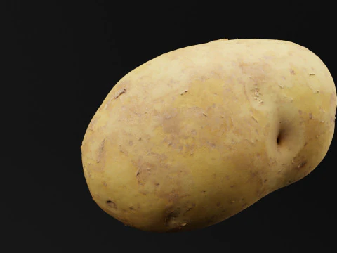 Aardappel Groente 3D Model