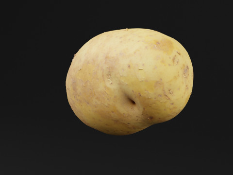 马铃薯蔬菜 3D 模型
