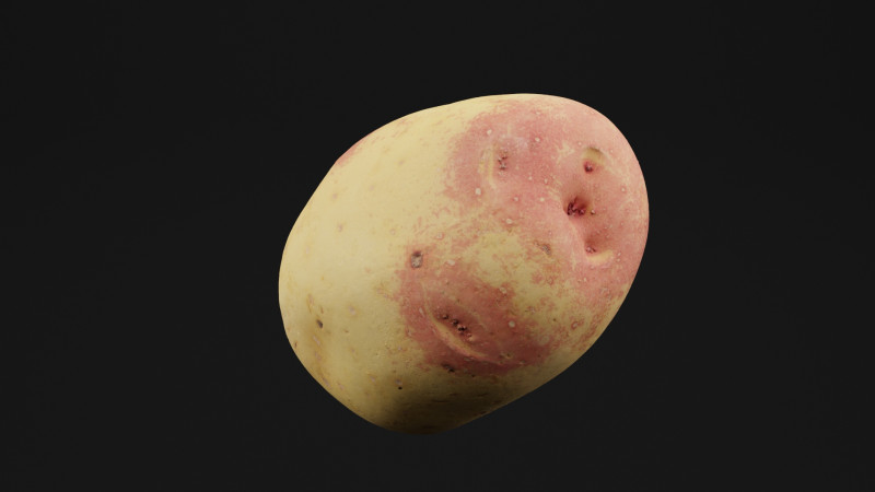 Verdura Di Patate Modello 3D .c4d .max .obj .3ds .fbx .stl .blend