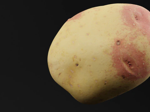 ジャガイモ野菜 3Dモデル