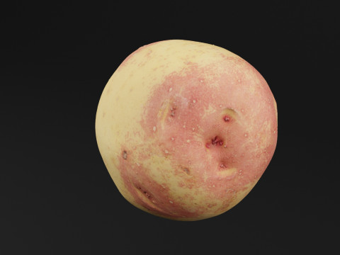 Verdura Di Patate Modello 3D